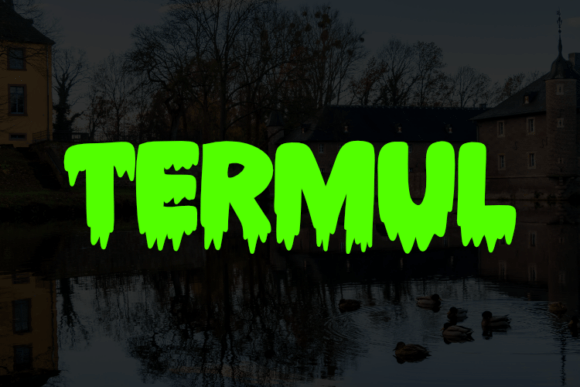 Termul Display Font: A Versatile Typeface for Spooky and Elegant Campaigns